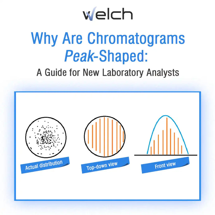 [Reader Insight] Why Are Chromatograms "Peak"-Shaped: A Guide for New Laboratory Analysts